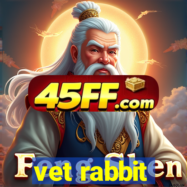 vet rabbit
